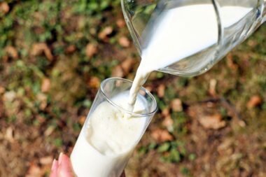 Lait pasteurisé Du petit coin de Paradis